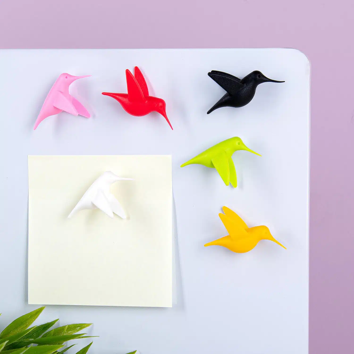 Kolibri-Magnete (Set von 6)