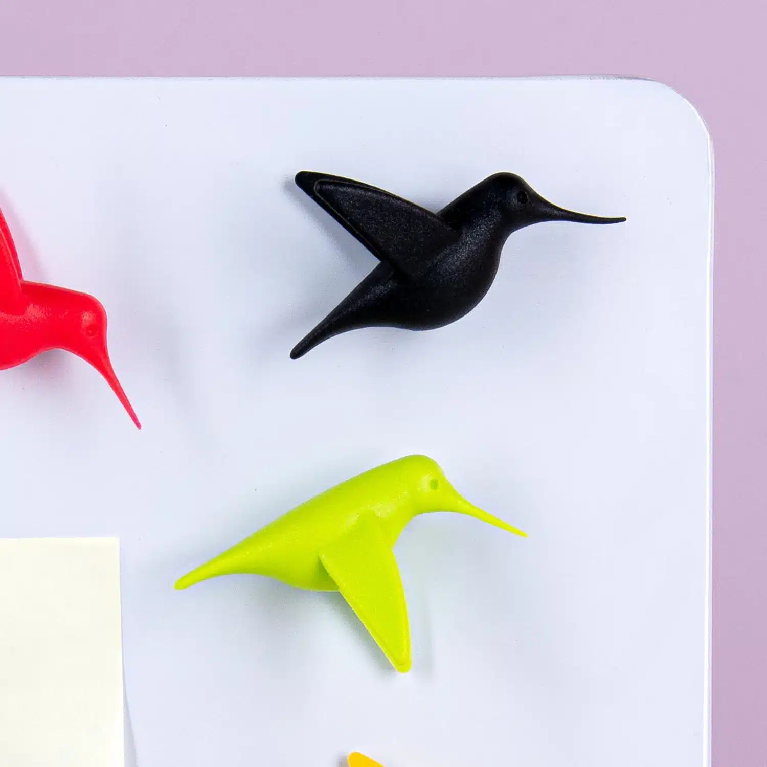 Kolibri-Magnete (Set von 6)