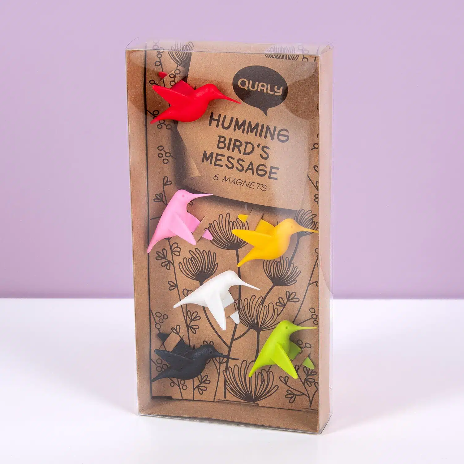 Kolibri-Magnete (Set von 6)