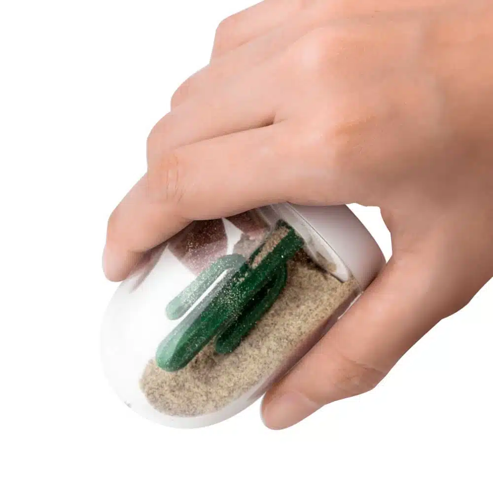 Gewürzset der Jahreszeiten