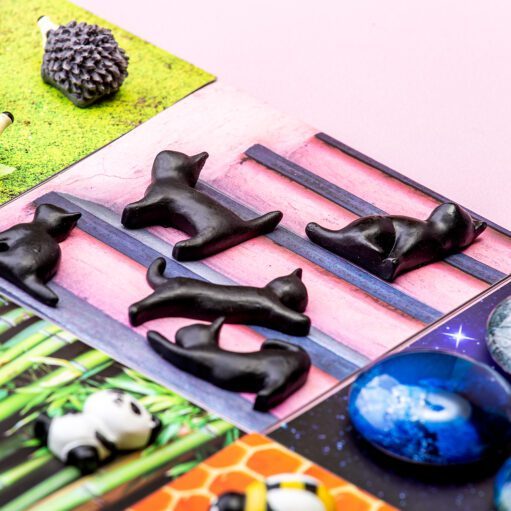 Schwarze Katzenmagnete (Set aus 5)