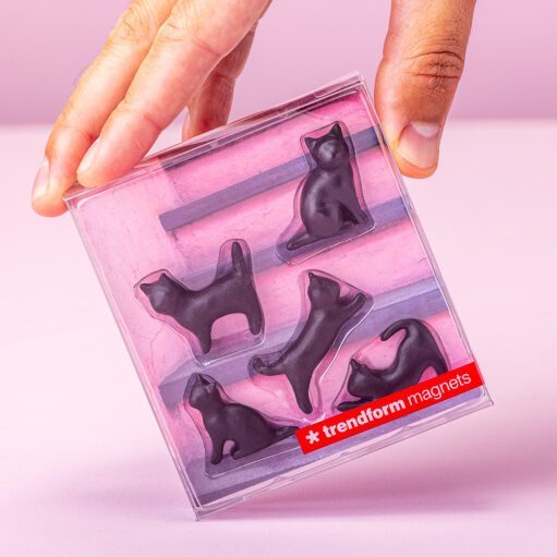 Schwarze Katzenmagnete (Set aus 5)