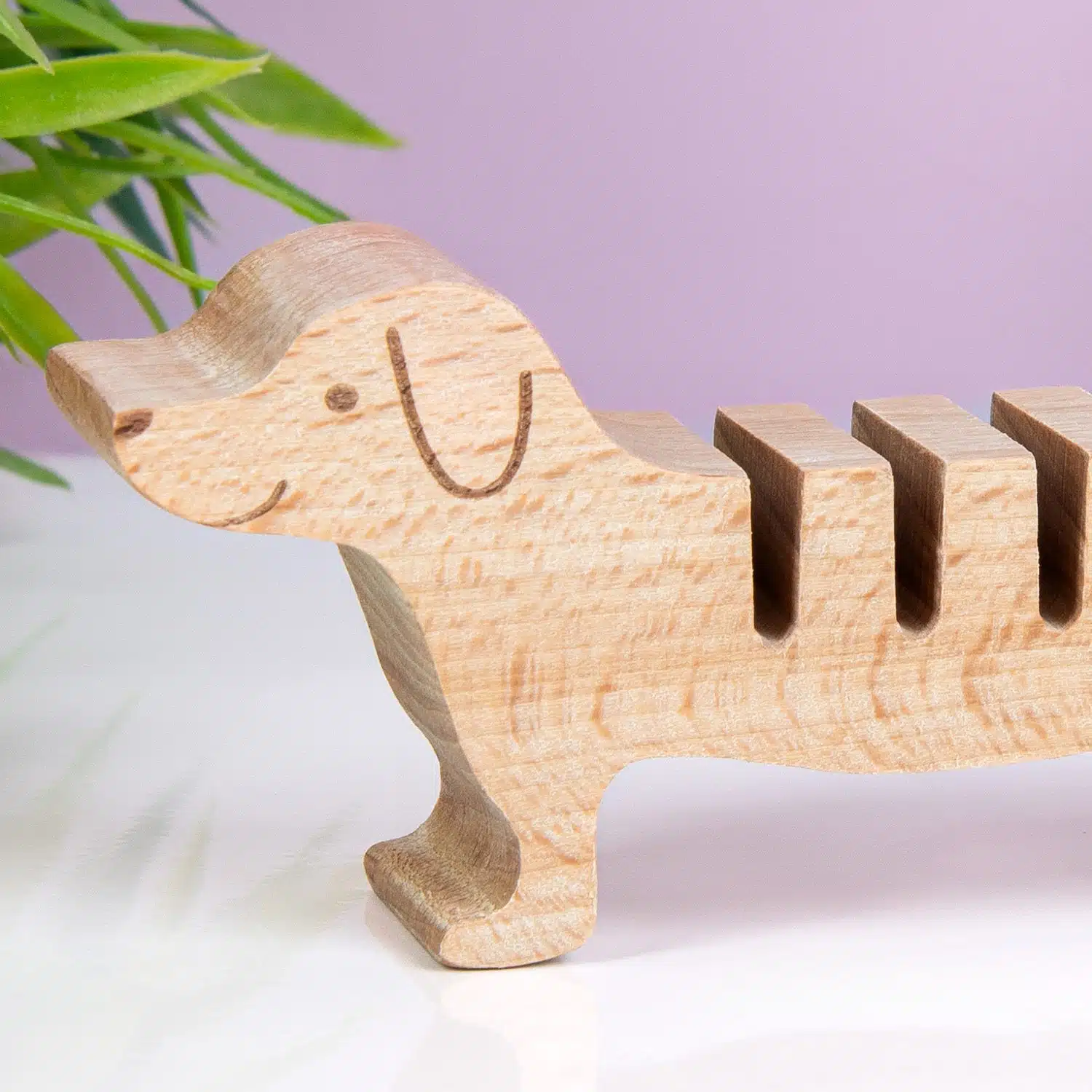 Haustier Kabel-Organizer