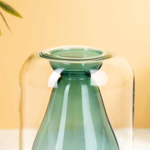 Avocado Keimvase