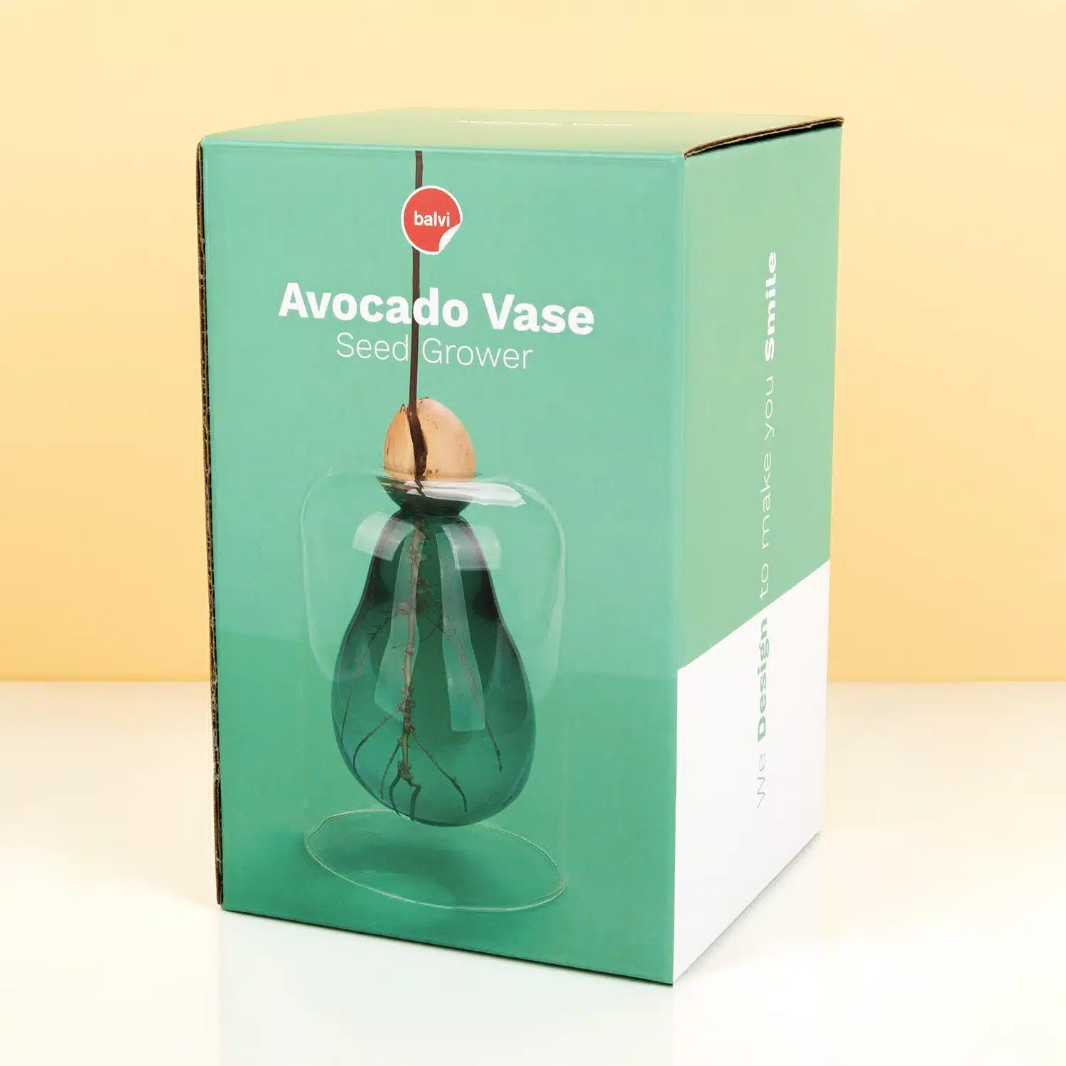 Avocado Keimvase