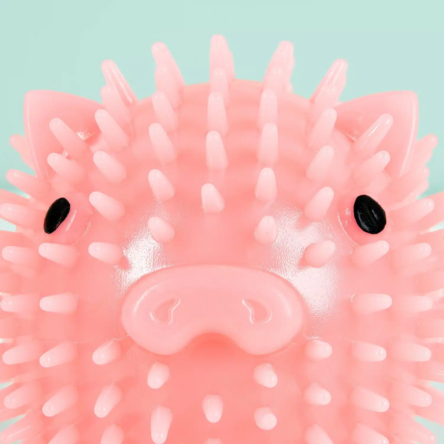 Quietschball für Hunde mit Geruch