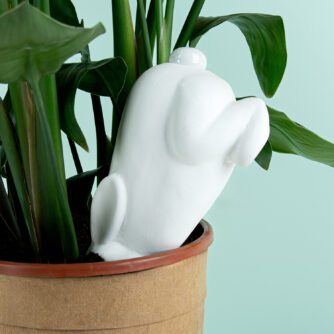 Kaninchen Bewässerungssystem