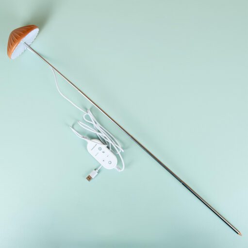 Pilz-Pflanzenlampe