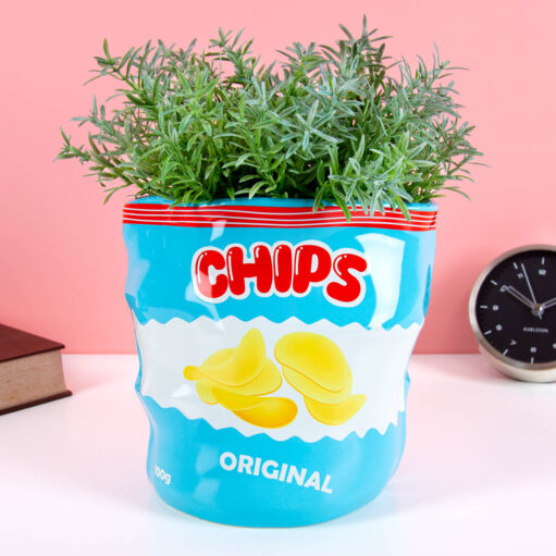 Chips-Tüten-Blumentopf