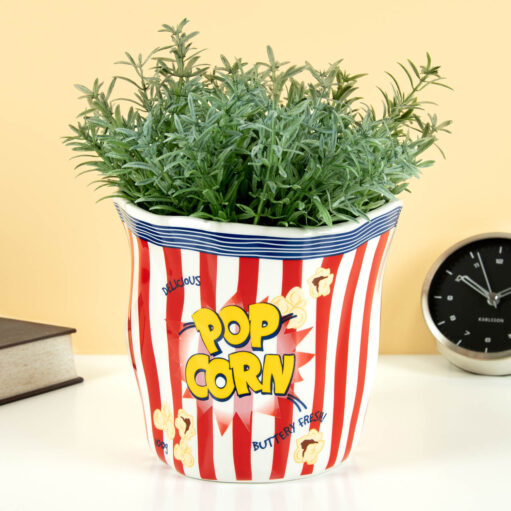 Popcorn-Tüten-Blumentopf