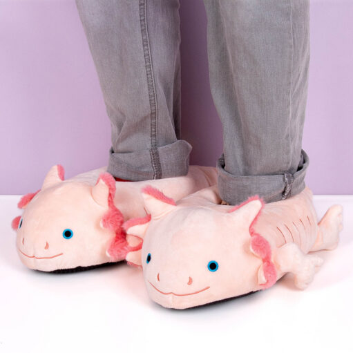 Axolotl Hausschuhe
