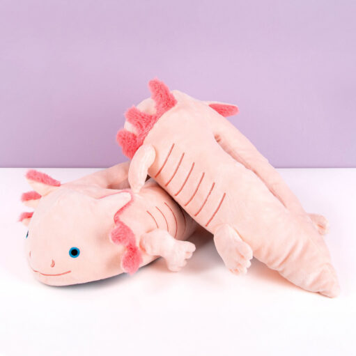 Axolotl Hausschuhe