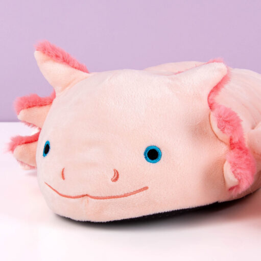Axolotl Hausschuhe