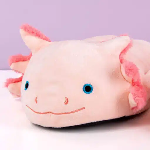 Axolotl Hausschuhe