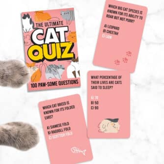 Katzen-Quiz