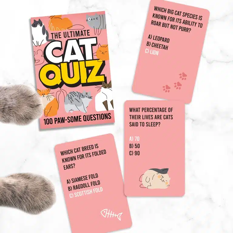 Katzen-Quiz