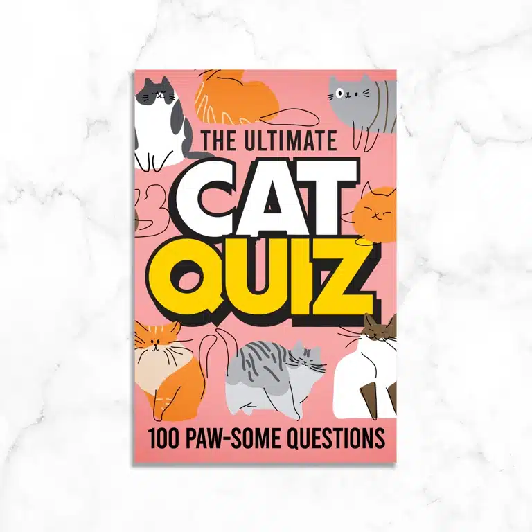 Katzen-Quiz
