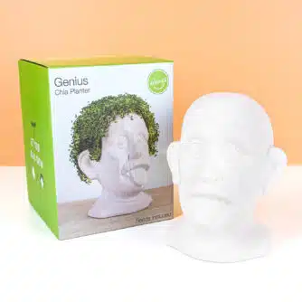 Einstein-Blumentopf mit Samen