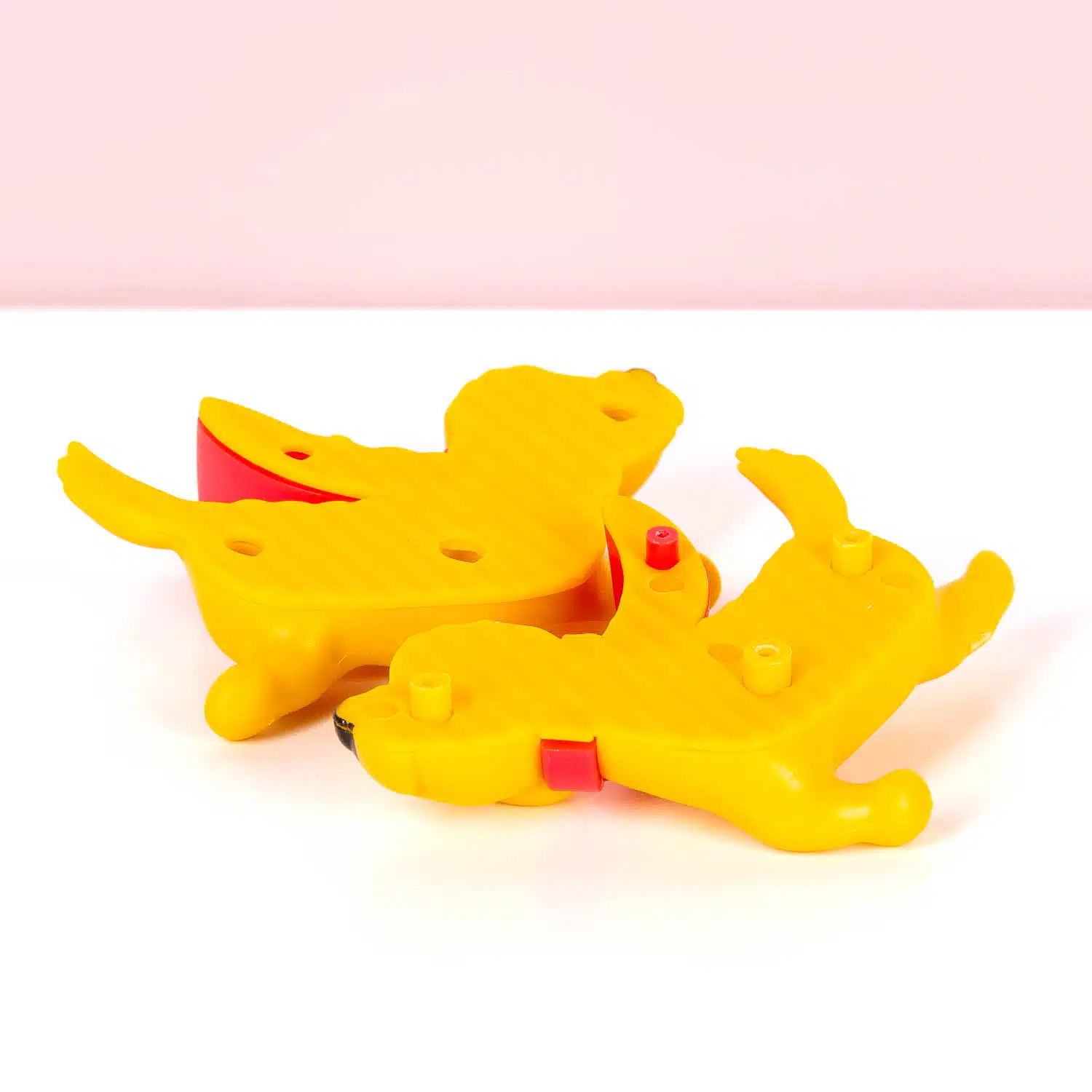 Hund für dein Fahrradrad