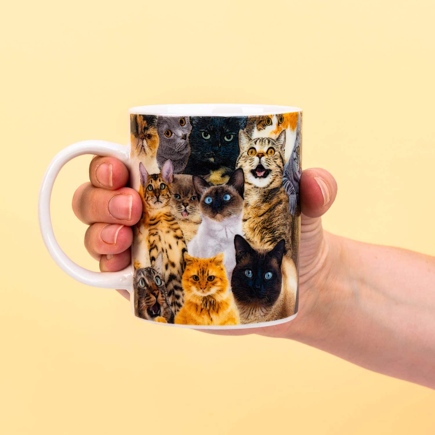 Crazy Cat Tasse