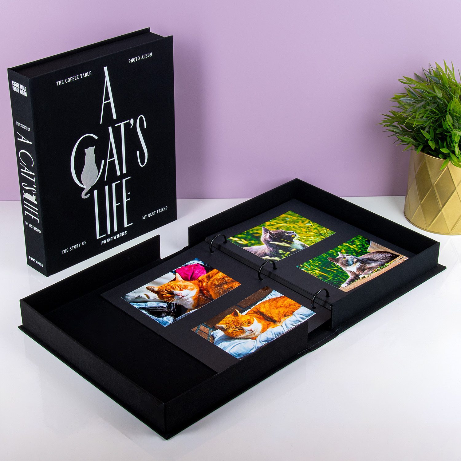 Haustier Kaffeetisch Fotoalbum - Katze