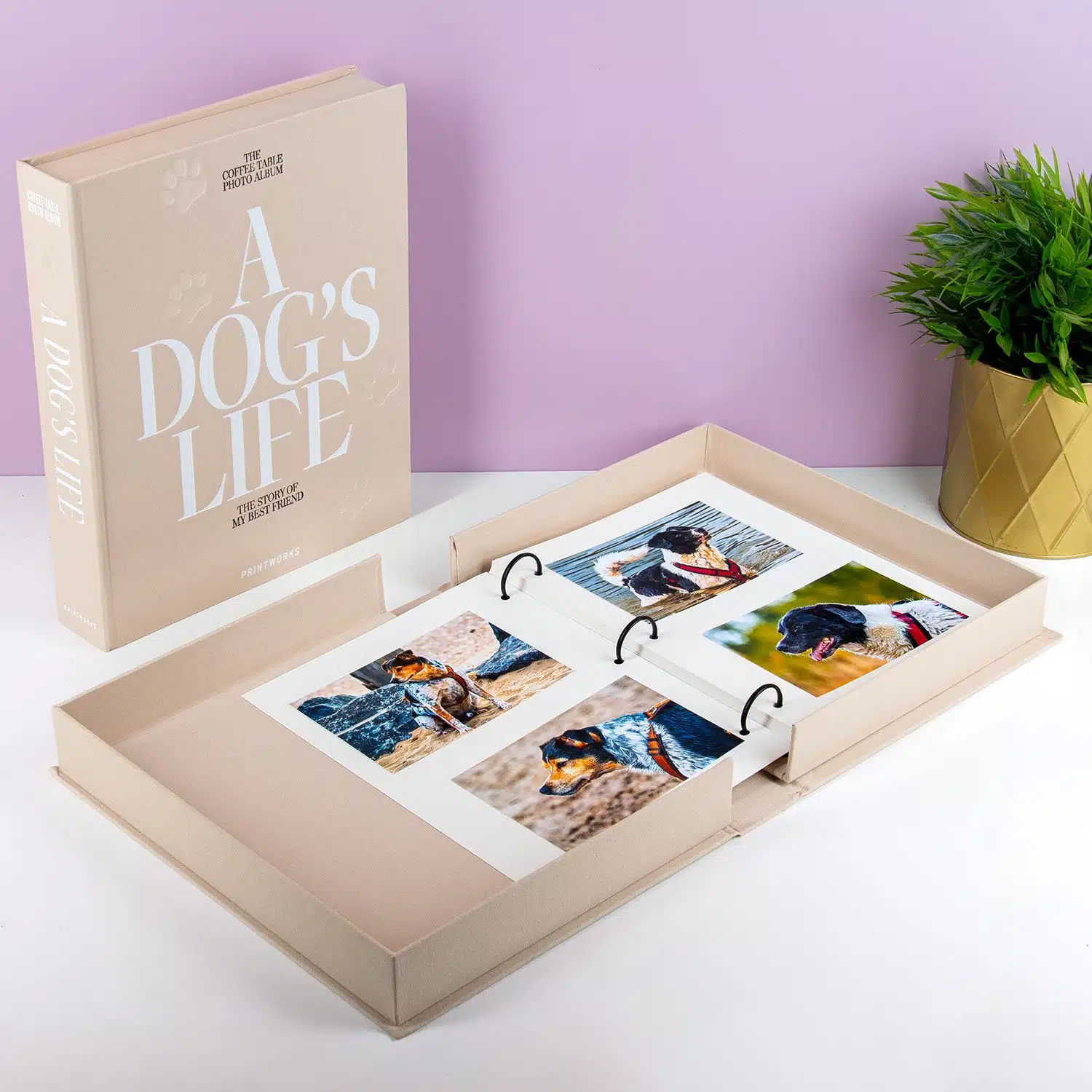 Haustier Kaffeetisch Fotoalbum - Hund
