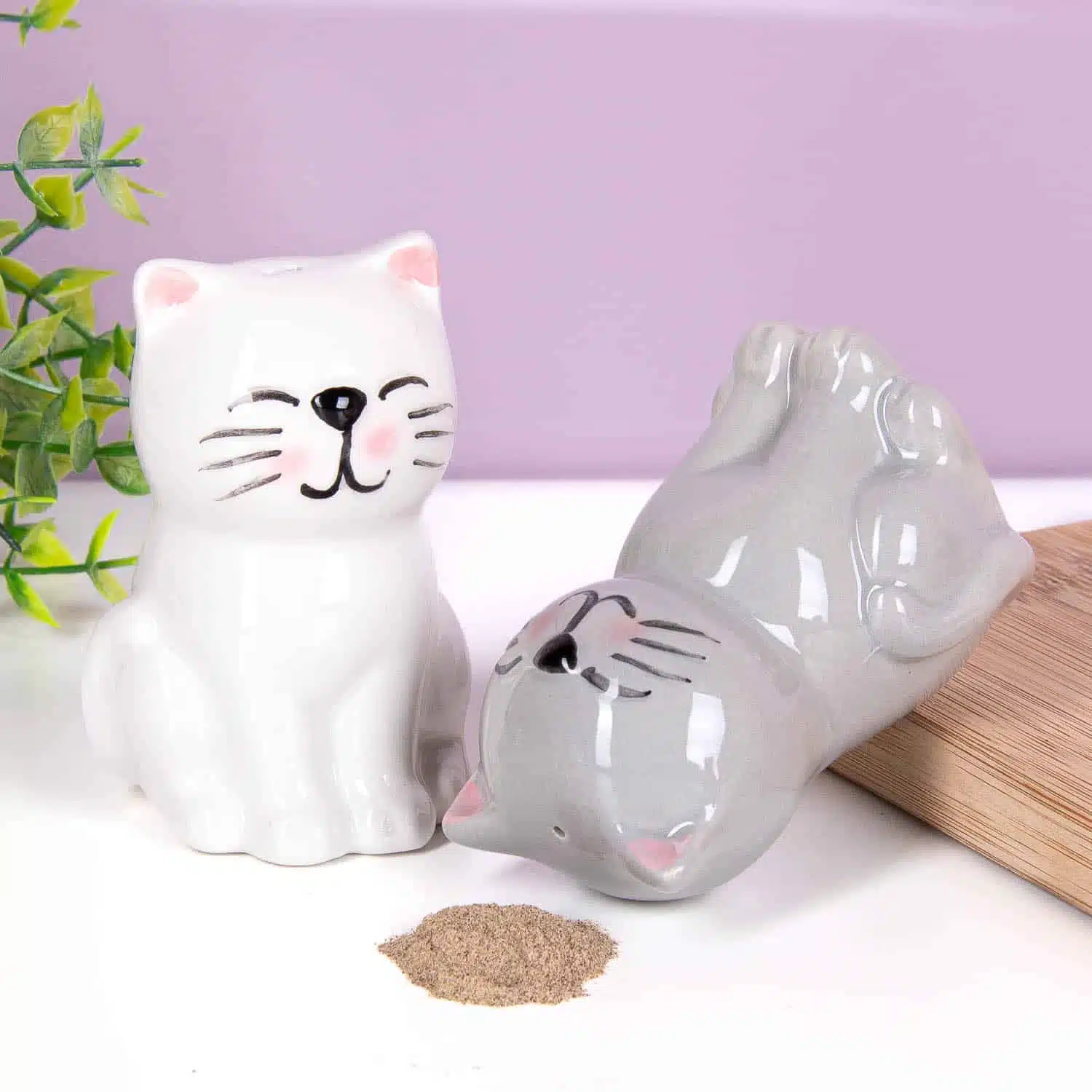 Katzen-Pfeffer- und Salzstreuer-Set