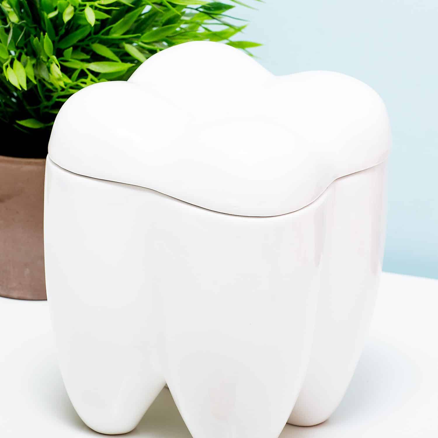 Sweet Tooth Bonbondose