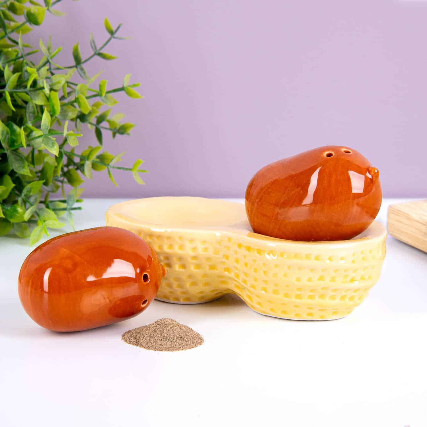 Erdnuss Salz- und Pfefferstreuer