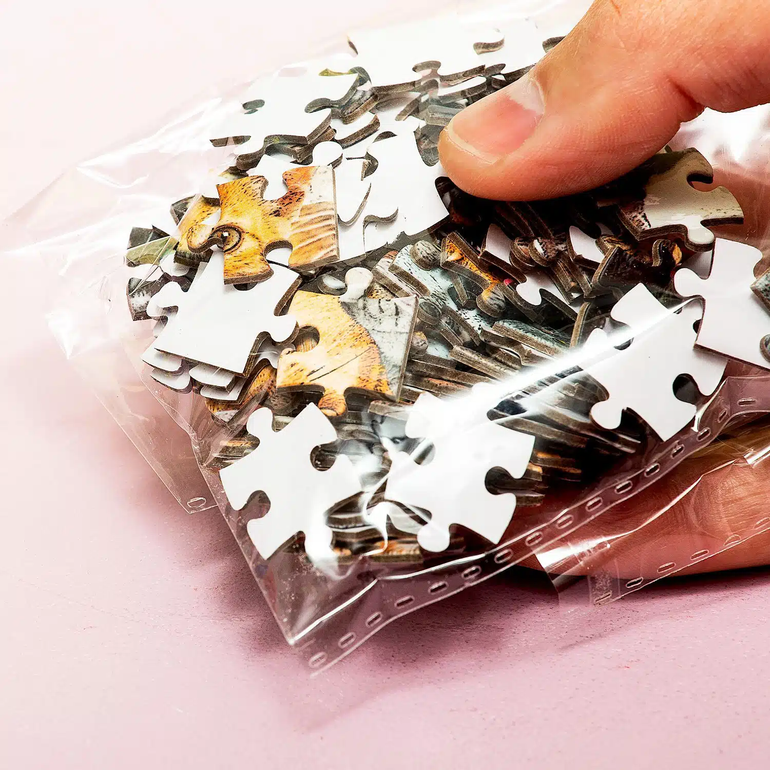 Pocket Puzzle (100 Teile)
