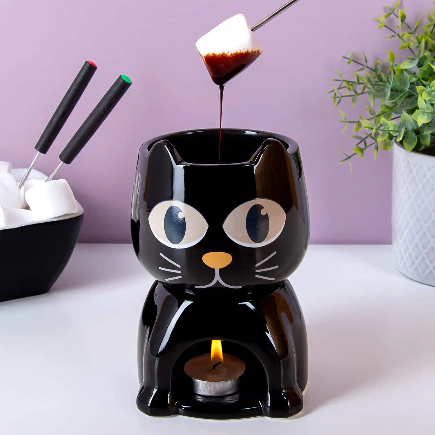 Wรคrmeempfindliches Katzen-Fondue-Set