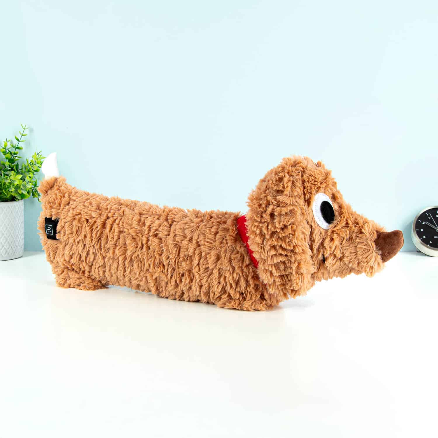 Hund elektrische Wärmflasche