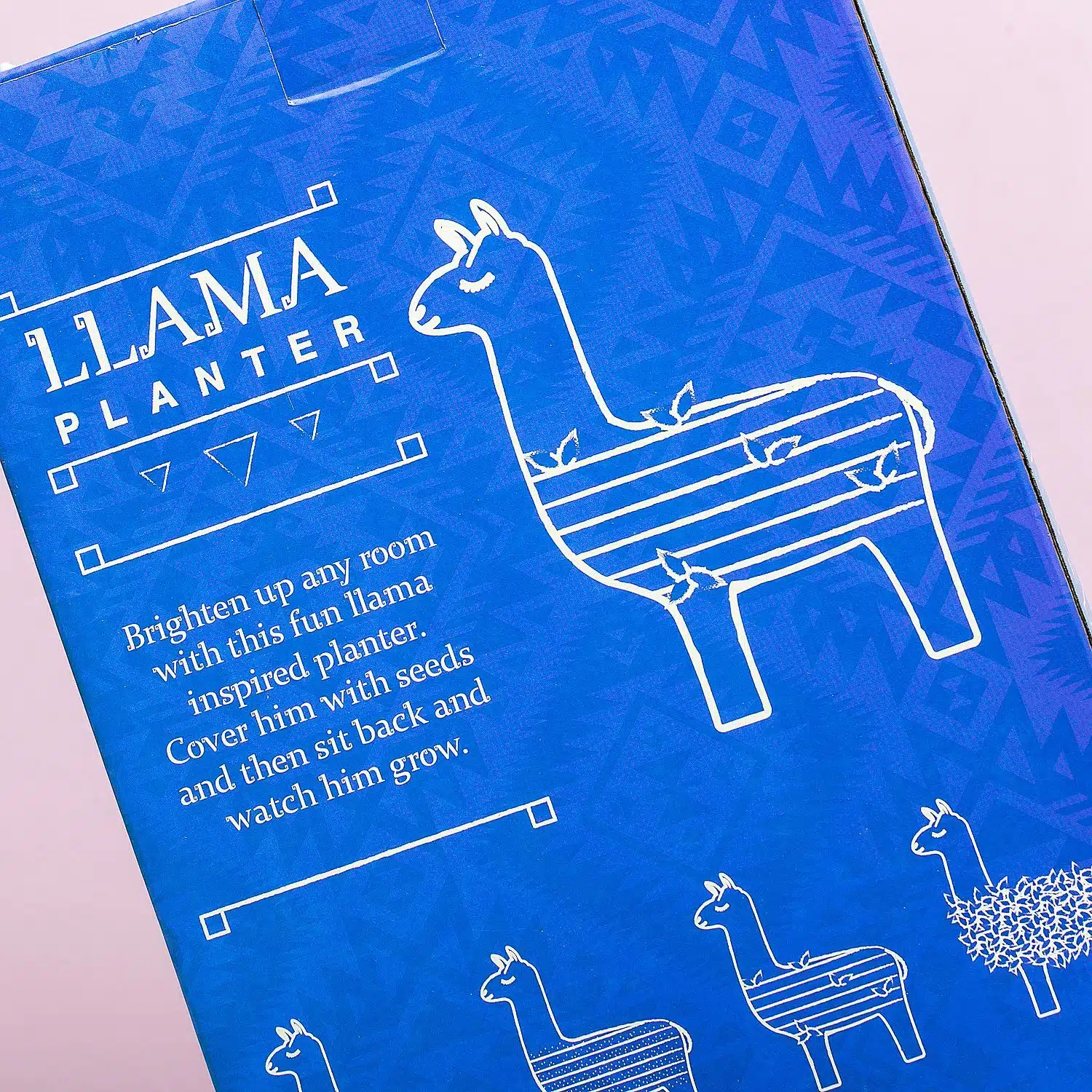 Lama-Blumentopf mit Samen