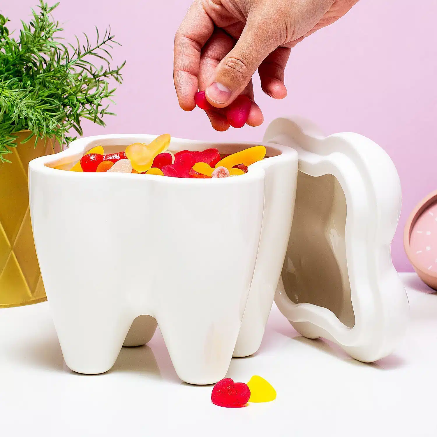 Sweet Tooth Bonbondose