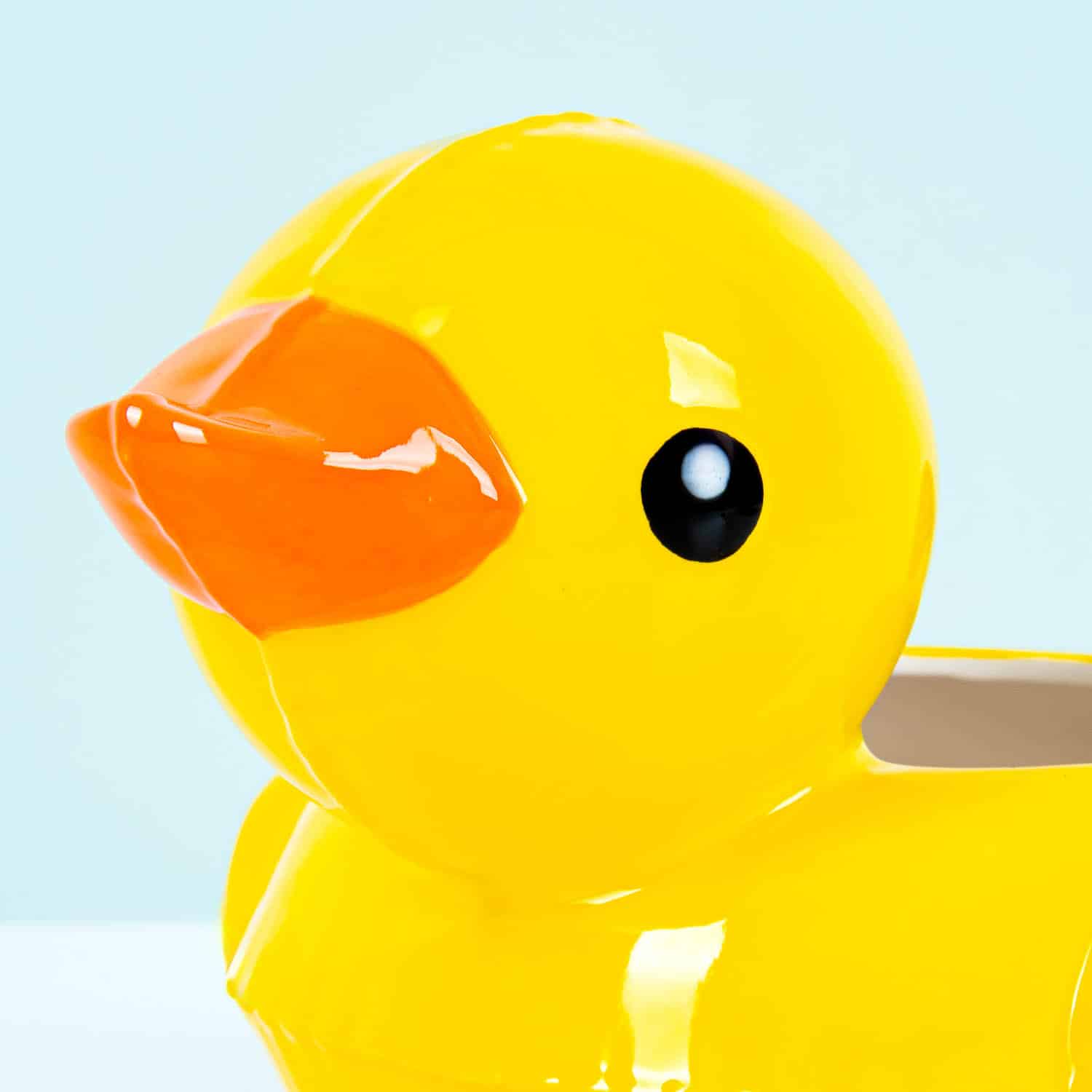 Badeenten-Schwimmreifen-Töpfchen