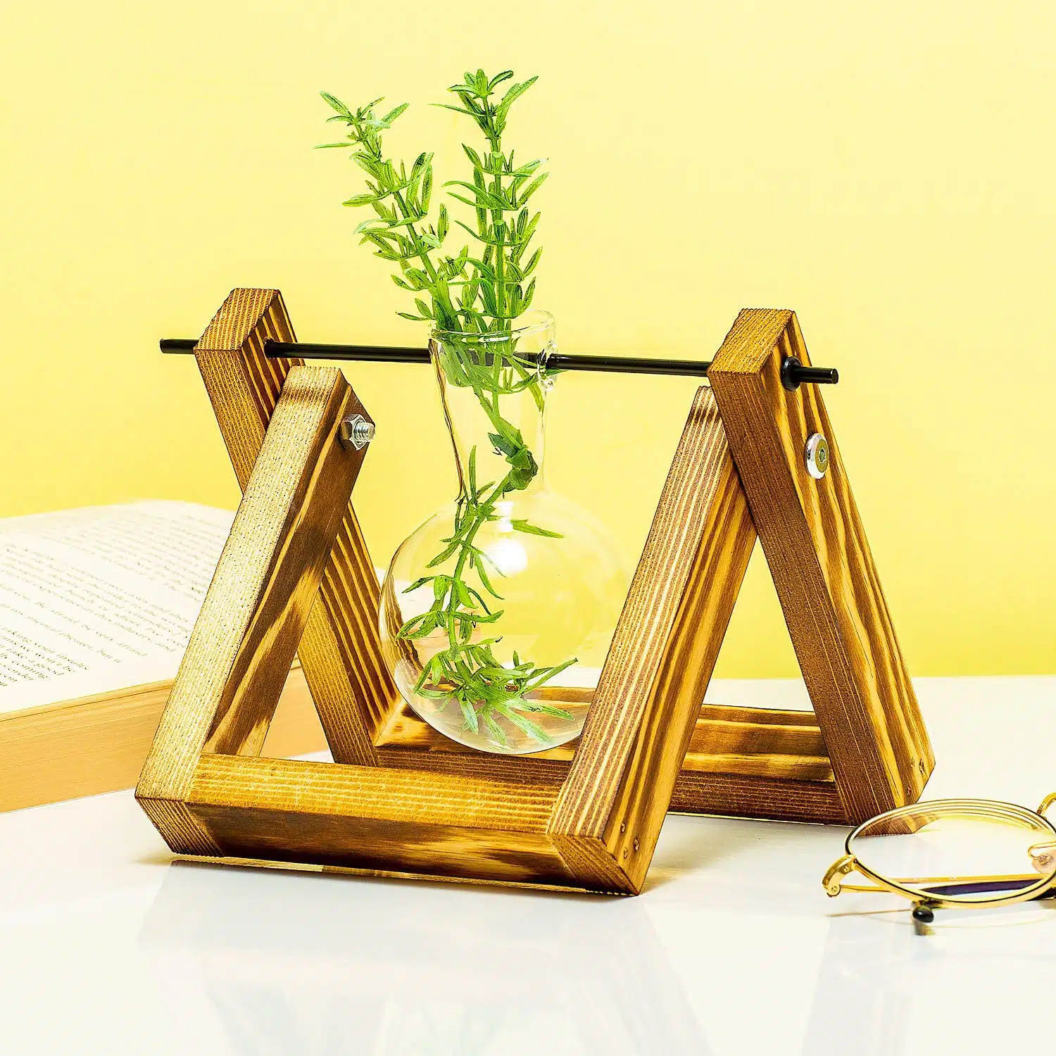 Holz-Stecklingsvase - 1 Glas