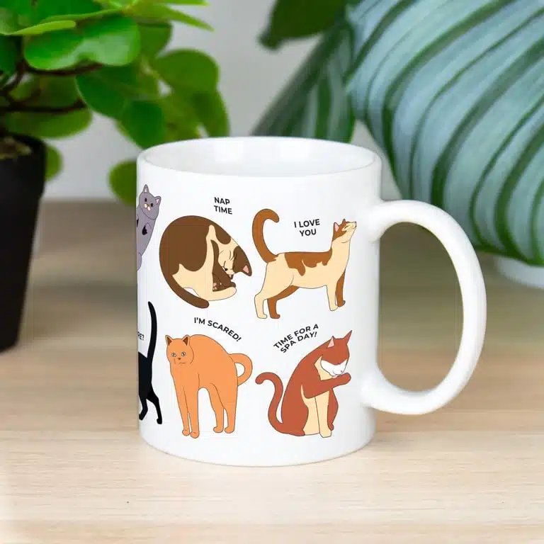 How To Speak Cat Tasse