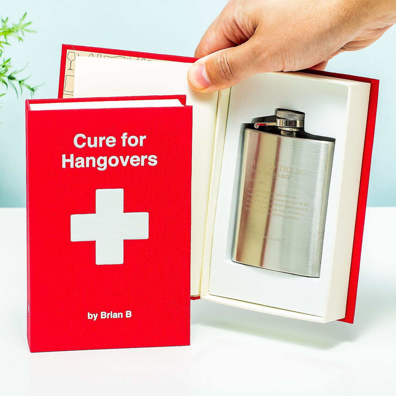 Anti-Kater-Buch mit geheimem Flachmann