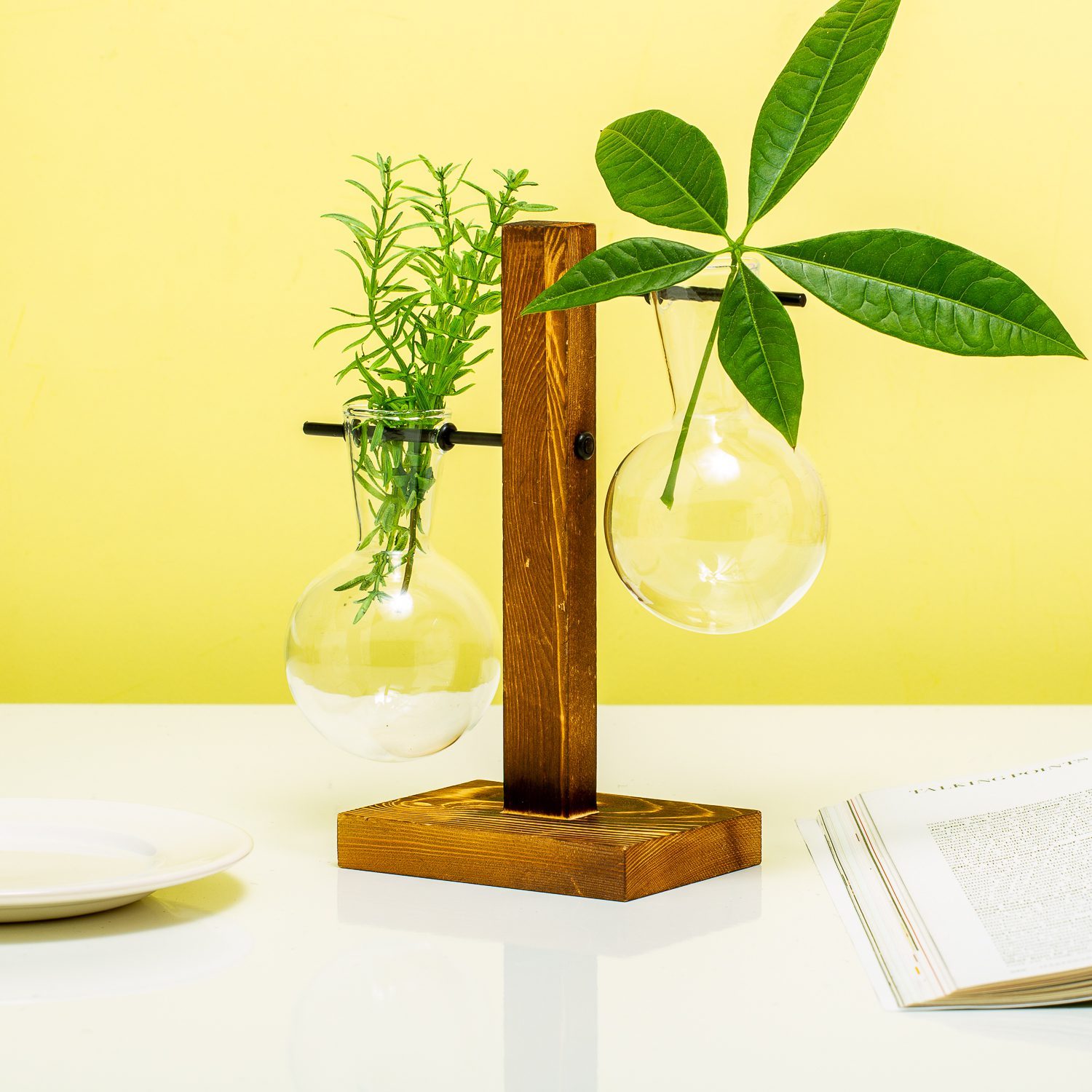 Holz-Stecklingsvase - 2 Gläser
