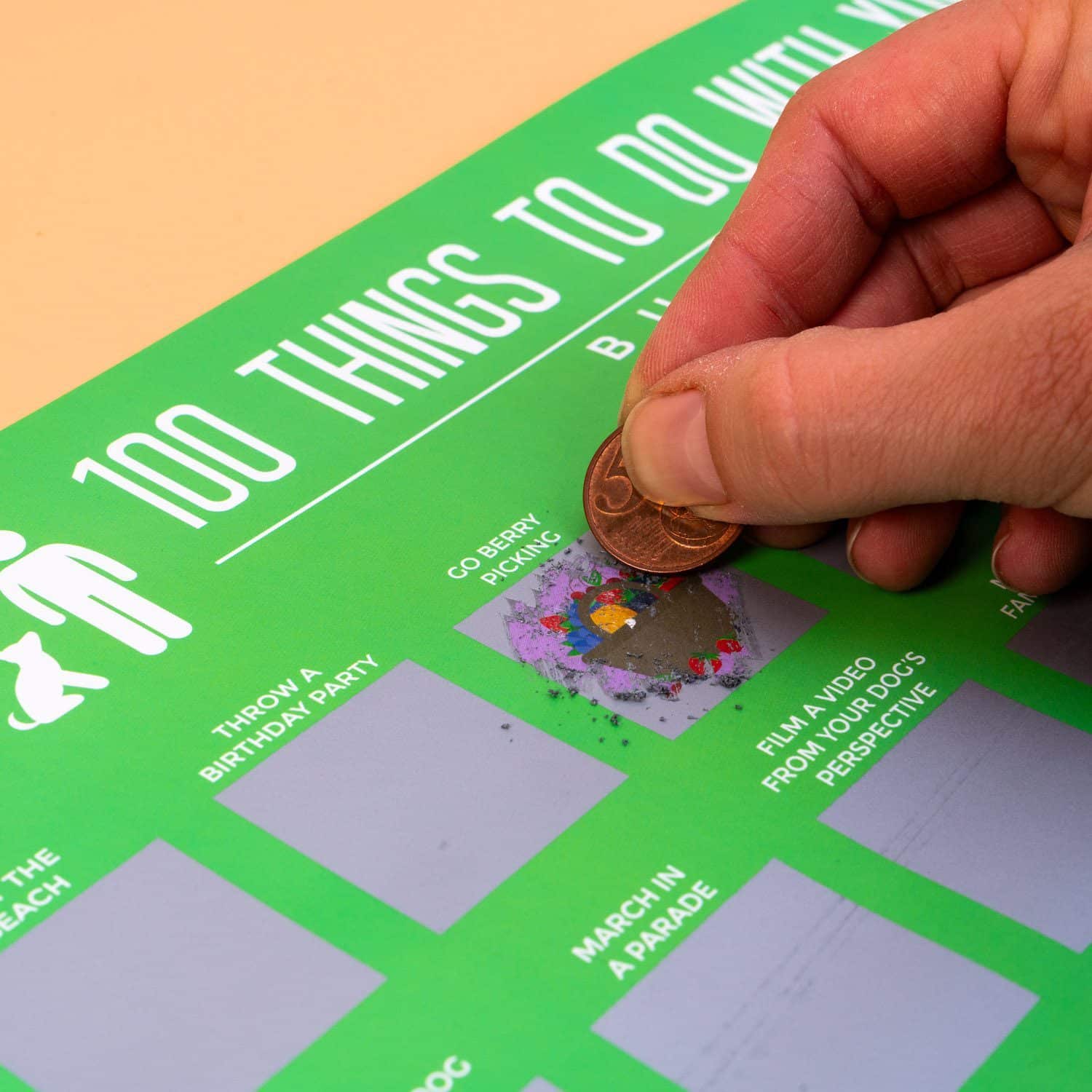 100 Things to do with your dog Rubbelposter