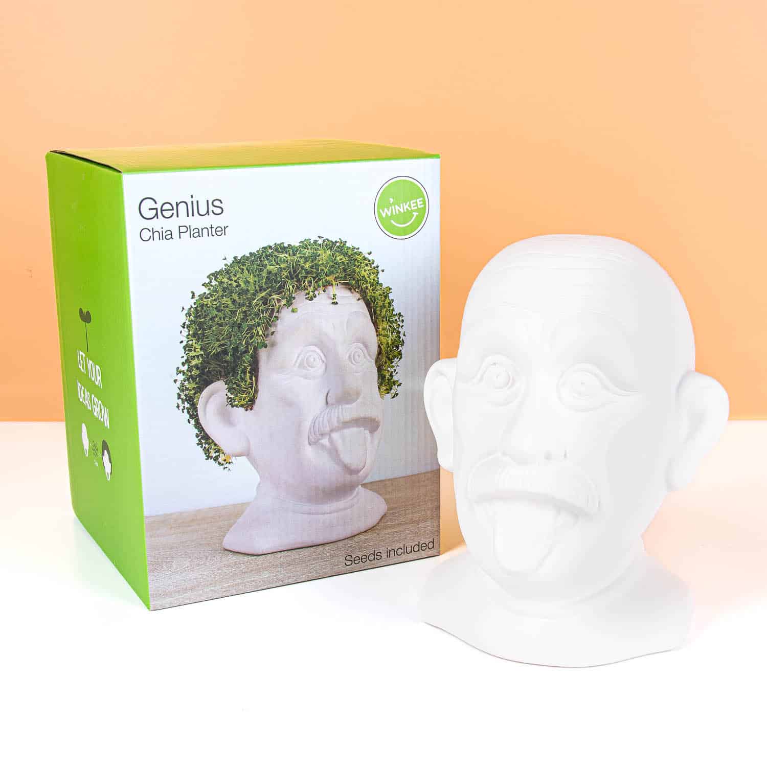 Einstein-Blumentopf mit Samen