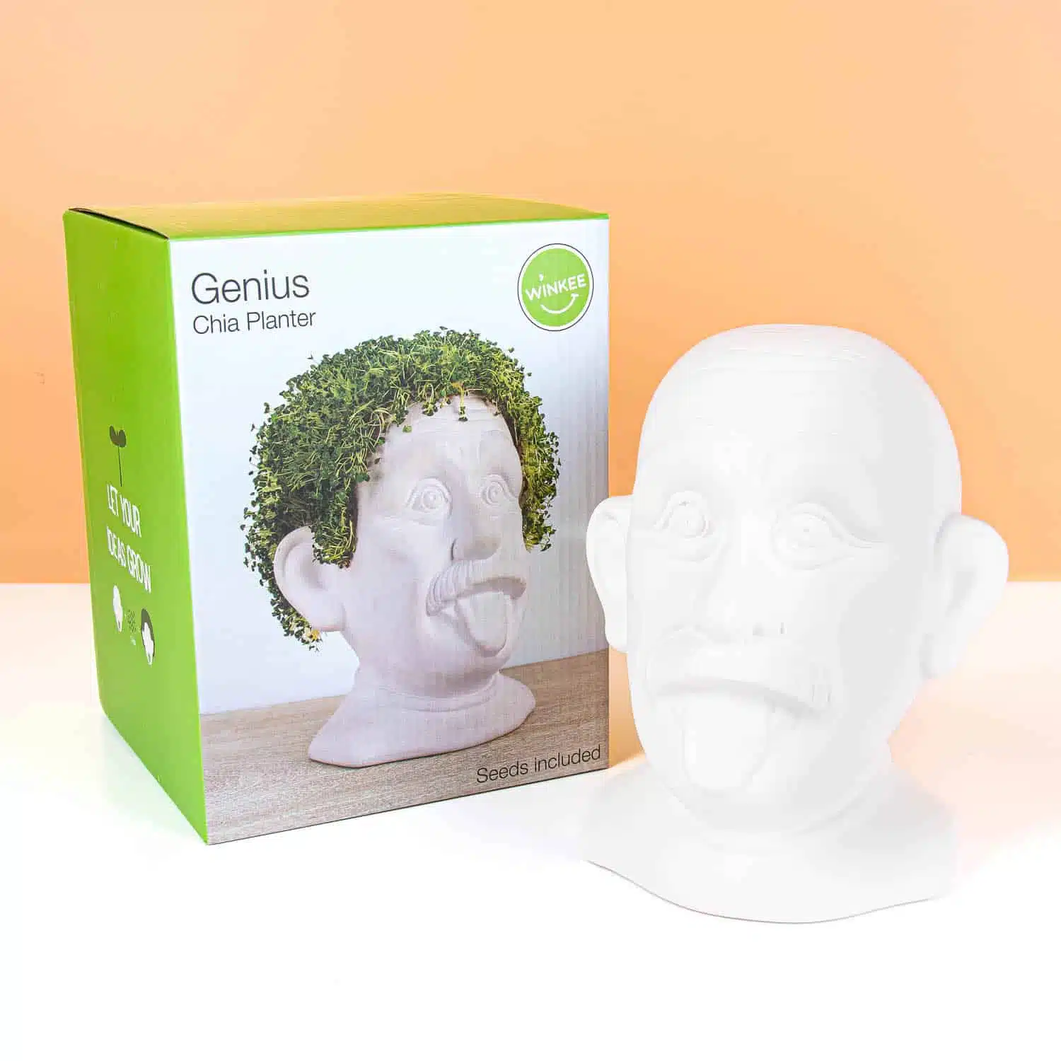 Einstein-Blumentopf mit Samen