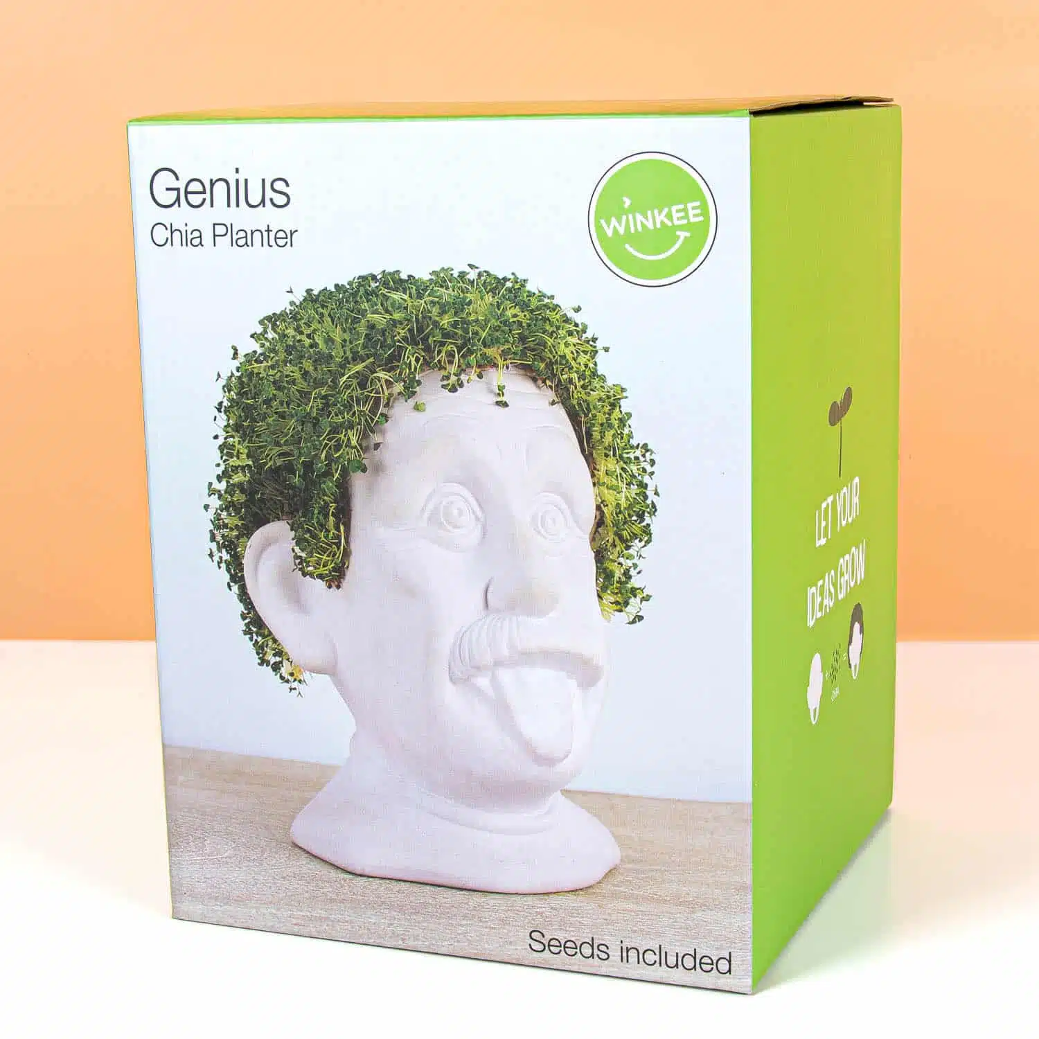 Einstein-Blumentopf mit Samen