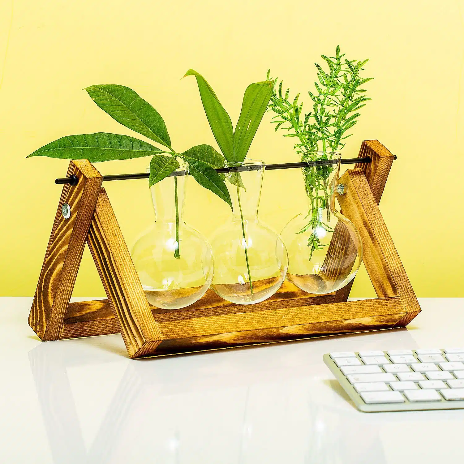 Holz-Stecklingsvase - 3 Glรคser