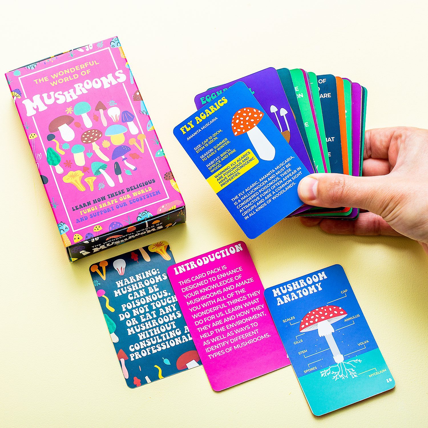 The Wonderful World of Mushrooms Karten