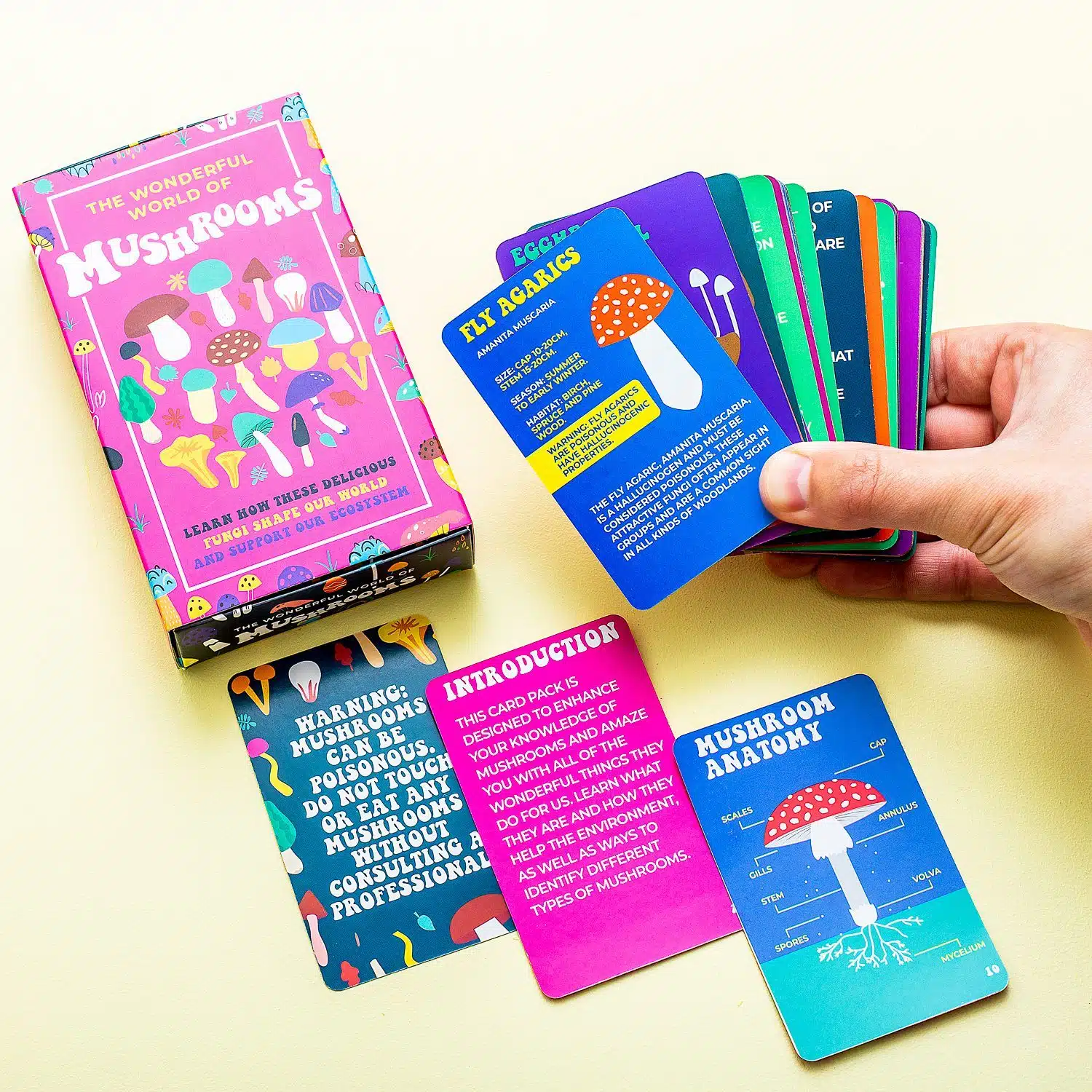 The Wonderful World of Mushrooms Karten