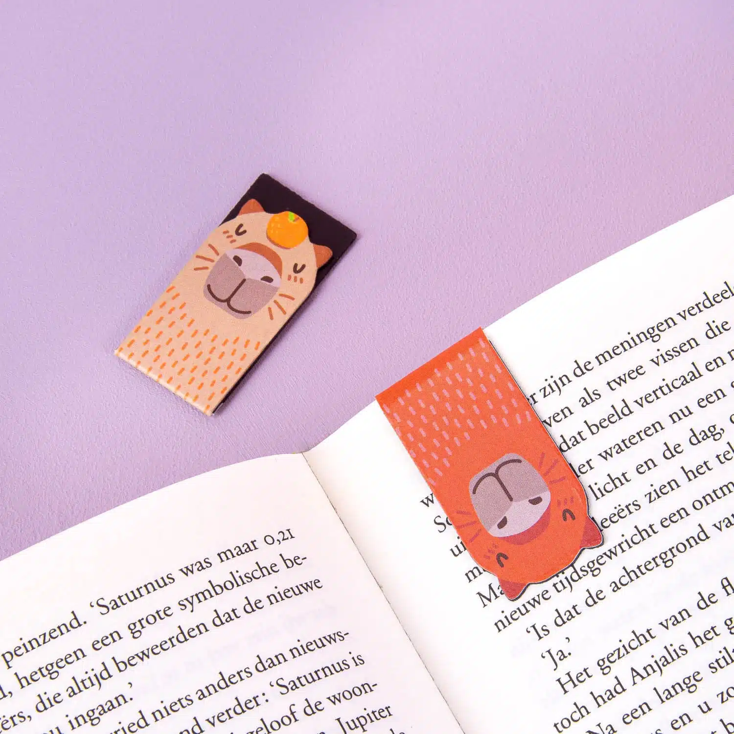 Capybara Magnetische Lesezeichen (Set mit 4)