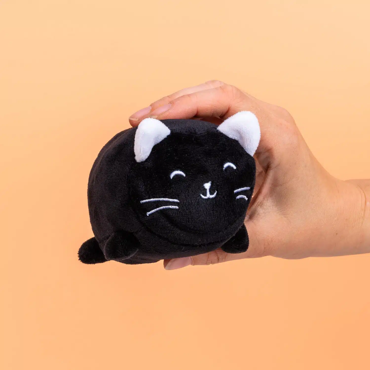 Haustier Bildschirmreiniger - Katze