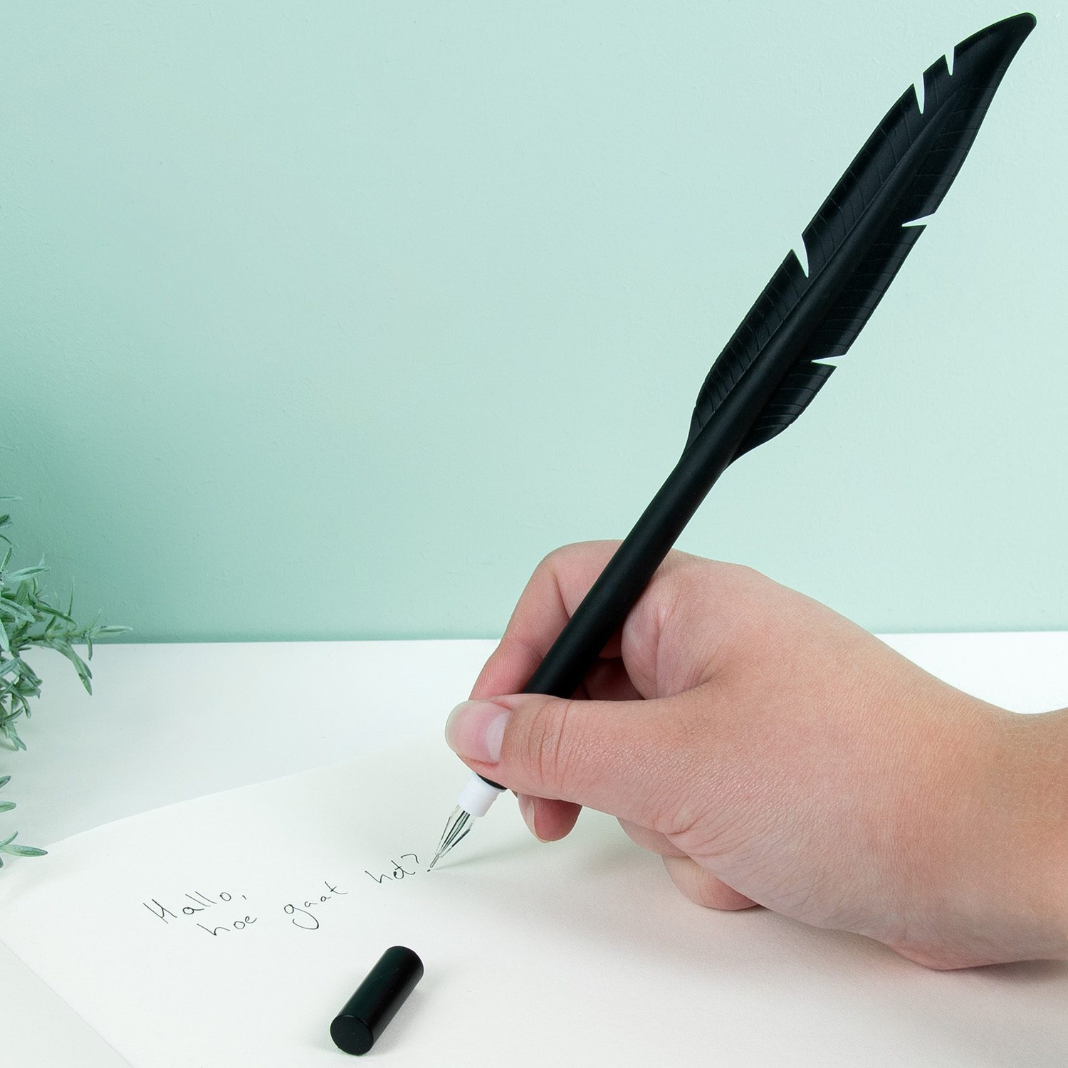 Feder Stift (sortiert)