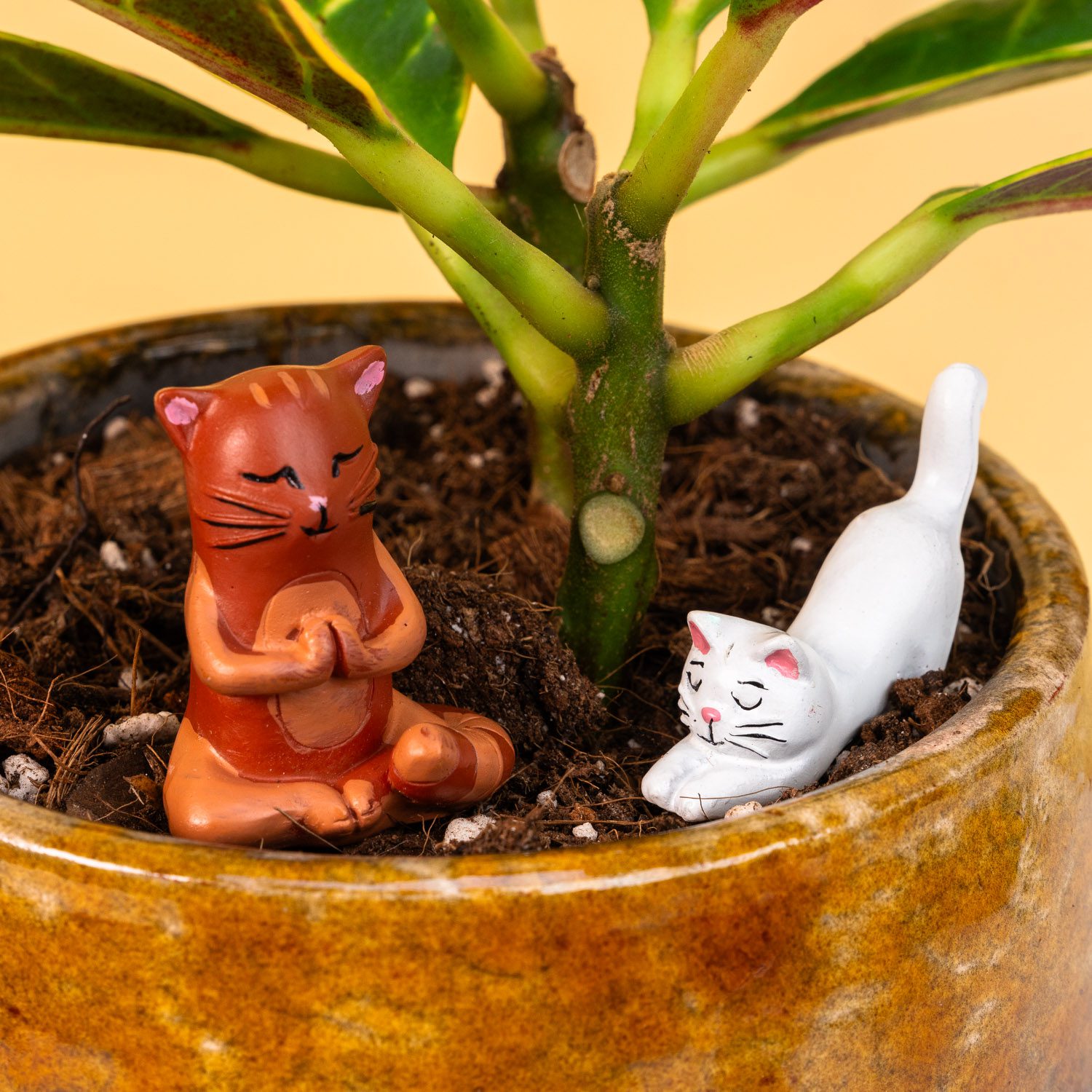 Blumentopf Katzen (Set von 4)